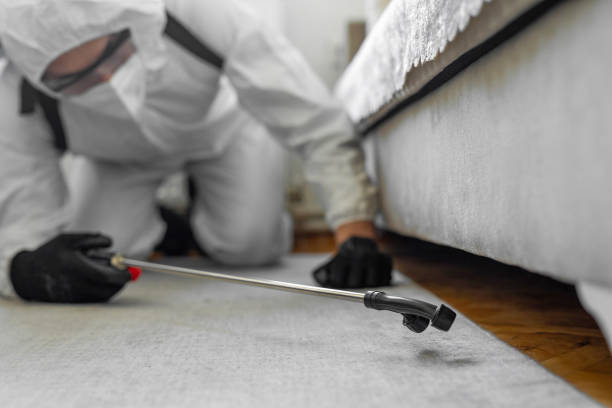 Professional Pest Control technician working in Omao, HI