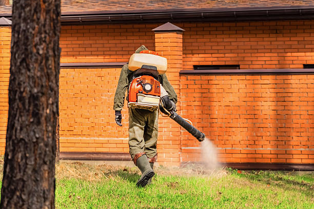 Trusted Cockroach Control service in Omao, HI - Nex Pest Control